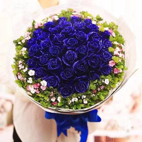 《勿忘我》评测:中等品质揭秘,游戏魅力再升级 《勿忘我》评测:中等品质揭秘,游戏魅力再升级