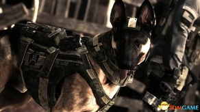 《使命召唤10》军犬推特曝光：狂喷喵星人，战场才是真爱！