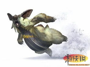 冰海奇观揭秘：白兔兽领衔新图登场