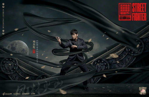 另类格斗艺术巅峰对决，街霸风作品技惊四座！