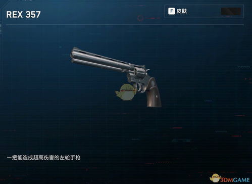 荷兰独家揭秘：《看门狗》巨炮军火店大枪精选攻略