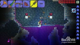 泰拉瑞亚1.2版5月惊喜来袭，235新单位等你探索！