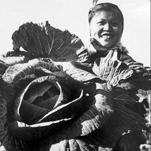 《黑暗之魂2》深度解析：探寻游戏世界中的神秘力量与传承