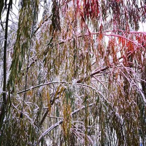 《失落的星球3》前瞻:雪贼势力揭秘,探索未知星球新奥秘 《失落的星球3》前瞻:雪贼势力揭秘,探索未知星球新奥秘