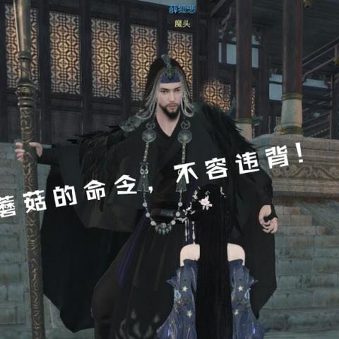 舞阳城药人淳于洋攻略：高效打法解析，轻松通关！