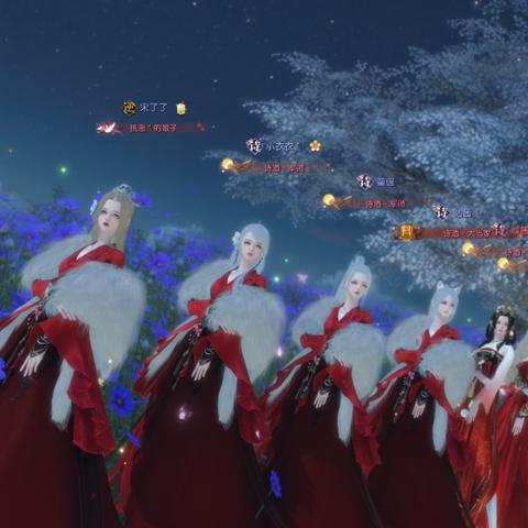 逆水寒猫咪养成秘籍：轻松解锁萌宠新玩法