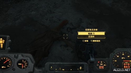 辐射：新洛杉矶传奇2，揭秘废土新纪元