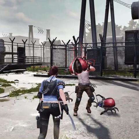 末日求生指南：揭秘《往日不再》生存技巧