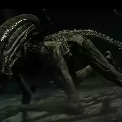 异形降临，殖民危机，揭秘未知生存法则