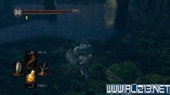 灵魂深渊：黑暗之魂2重制版，探索未知领域