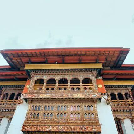 乌鸦探秘：揭开神秘冒险新篇章