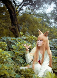 萌神赫萝COS惊艳亮相，《狼与香辛料》大尾巴狼魅力升级