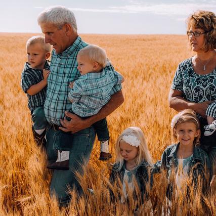 农场主新体验，揭秘《模拟农场2013》发售宣传片