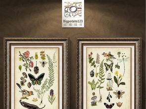 Pend AR技术赋能,愤怒小鸟桌面飞舞新体验 Pend AR技术赋能,愤怒小鸟桌面飞舞新体验