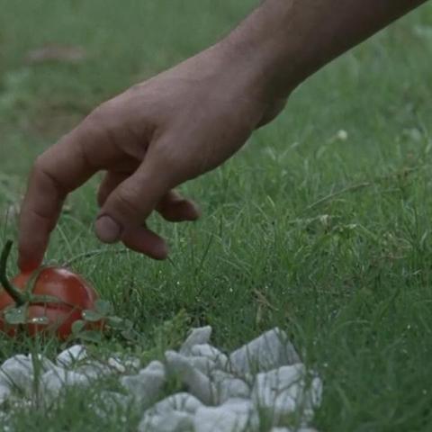 《行尸走肉第五章》深度攻略：解锁生存秘籍，揭秘末世求生之道