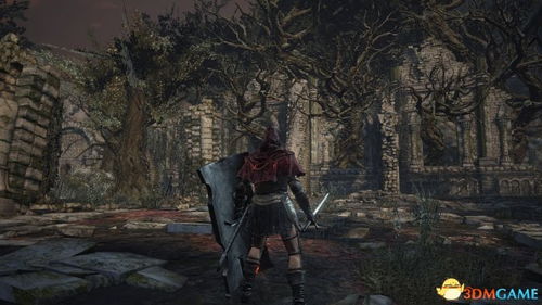 《黑暗之魂》深度解析：全方位攻略解锁新境界