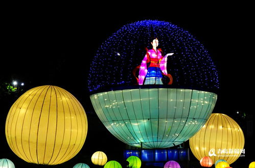 花灯绽放生活彩,含苞待放爱意浓 花灯绽放生活彩,含苞待放爱意浓