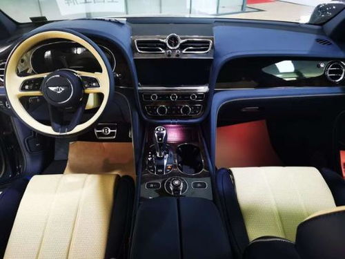 《阿玛拉王国》紫金套装探秘,独家揭秘新价值体验 《阿玛拉王国》紫金套装探秘,独家揭秘新价值体验