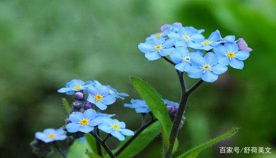 科幻新篇《勿忘我》截图首曝,揭秘未来战纪新篇章 科幻新篇《勿忘我》截图首曝,揭秘未来战纪新篇章