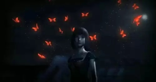 《零红蝶重制版》手柄操作攻略,深度体验新价值 《零红蝶重制版》手柄操作攻略,深度体验新价值