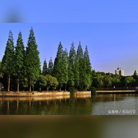 《模拟城市》新截图惊艳亮相，探索未来都市新奥秘