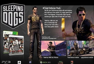 卧底风云:热血无赖警探沈伟卧底秘闻大揭秘 卧底风云:热血无赖警探沈伟卧底秘闻大揭秘