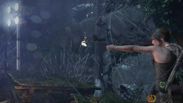 《古墓丽影崛起》N卡A卡特效全解析，深度优化攻略大揭秘