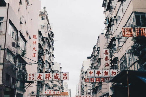 巴西风情尽收眼底！《街头霸王5》新地图惊艳亮相，畅享极致竞技体验