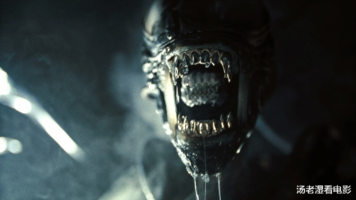 《异形:隔离》挑战极限,新增“生存”模式,双重难度等你来战 《异形:隔离》挑战极限,新增“生存”模式,双重难度等你来战