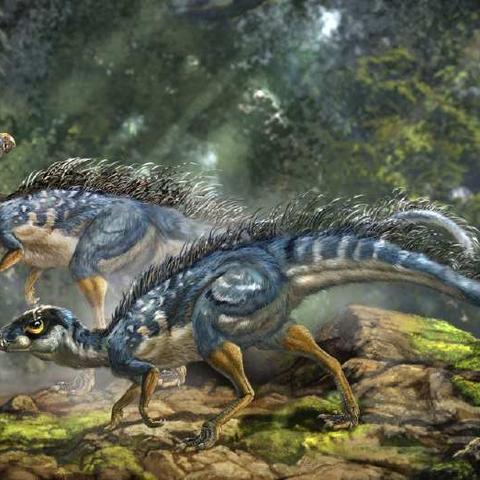 氧气获取攻略揭秘：新手生存《翼星求生》必备技巧