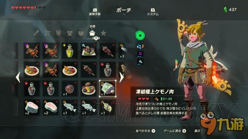 破解秘籍：掌握《塞尔达传说天空之剑HD》BOSS攻击与战术攻略