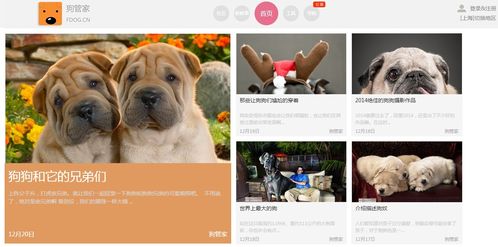 《舔狗》Demo版深度体验：揭秘游戏亮点与操作攻略