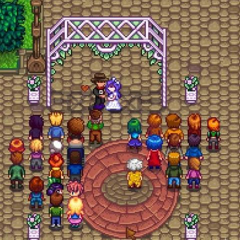 《星露谷物语》全节日攻略秘籍，深度解析注意事项与技巧