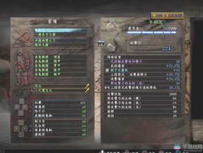 《仁王》武器秘籍：详尽种类与数据解析宝典