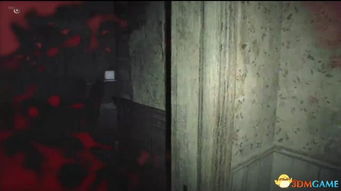 《生化7》一命通关疯人院，不打针不洗手，高效攻略揭秘！