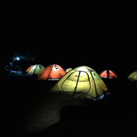 《狂野之心》弓招式攻略：揭秘高伤害连招技巧