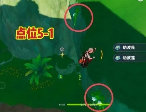 《原神》攻略:高效劫波莲采集路线全解析,点位标注新技巧! 《原神》攻略:高效劫波莲采集路线全解析,点位标注新技巧!