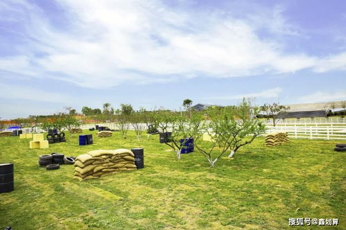 一方灵田钓鱼秘籍:解锁田园休闲新体验 一方灵田钓鱼秘籍:解锁田园休闲新体验