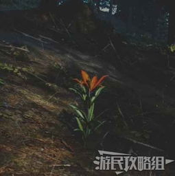 《往日不再》草药植物全位置速查攻略