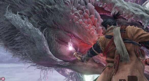 《只狼》八周目BOSS速杀攻略：8分5秒极限挑战！