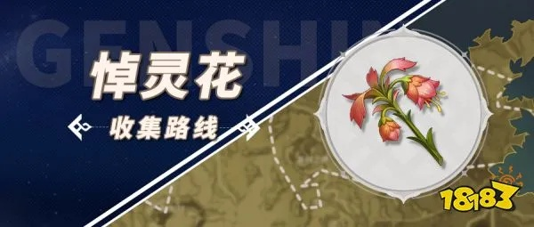 《原神》3.6版悼灵花高效采集攻略，隐藏路线曝光！