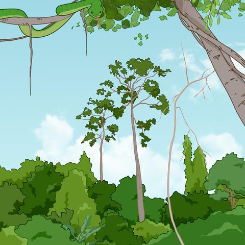 乐土星球快速寻宝攻略，高效探索新技巧揭秘