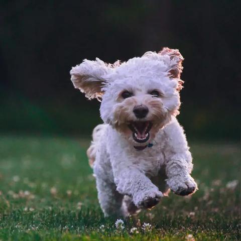 《绝区零》露西信赖邀约轻松拿，攻略秘籍大公开！