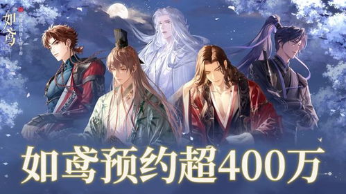 《代号鸢》礼包性价比深度解析：揭秘全新价值攻略