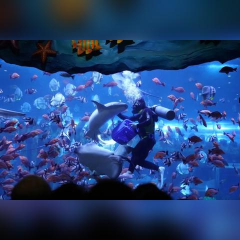 《伊始之地》深度解析:探索未知,体验沉浸式冒险乐趣 《伊始之地》深度解析:探索未知,体验沉浸式冒险乐趣