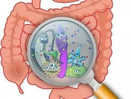 科学家2025实锤，吃土能治肠炎？游戏党熬夜爆肝后的肠道福音来了！