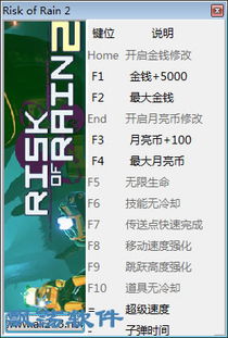 《雨中冒险回归》修改器深度解析:轻松上手,畅玩新境界 《雨中冒险回归》修改器深度解析:轻松上手,畅玩新境界