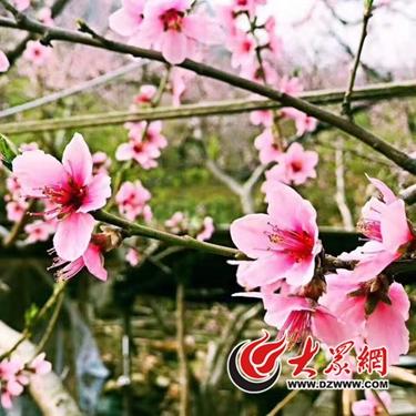 《怪物猎人世界》全域素材搜集攻略秘籍大公开