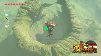 荒野之息素材搜集全攻略：详尽位置解析，解锁游戏新境界