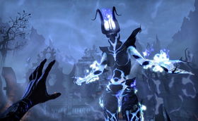 《上古卷轴OL》新动态：鱼与熊掌，如何抉择？